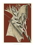 Exotic Botanical II