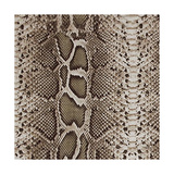Animal Instinct V