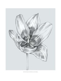 Silvery Blue Tulips II