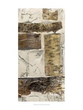 Birch Bark Abstract II