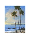 Tropical Breeze II