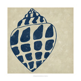 Indigo Shell I