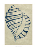 Indigo Shell V