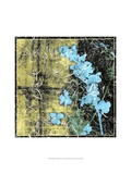 Small Floral Imprint II