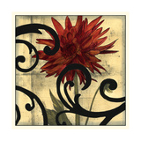 Dahlias and Scrolls II