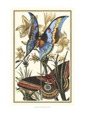 Butterfly I