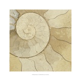 Organic Elements V