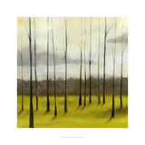 Sunlit Treeline II