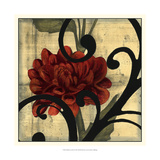 Dahlias and Scrolls I