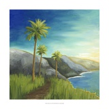 California Coast I