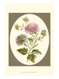 Antique Bouquet II