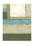 Weathered Paneling II