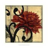 Dahlias and Scrolls IV