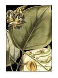 Tranquil Tropical Leaves I