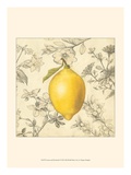 Lemon and Botanicals