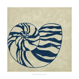 Indigo Shell II