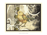 Bird Song II