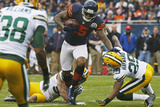Chicago Bears and Green Bay Packers NFL: Brandon Marshall