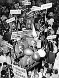 Demonstration for President Truman at National Democratic Convention  Philadelphia  July 14  1948