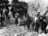 Camel Riders in California