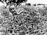 President Lyndon Johnson Lying in a Field of Flower at the LBJ Ranch  Summer  1966