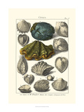 Seaside Treasures IV