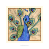 Eccentric Bird I