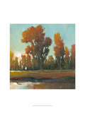 Late Afternoon Fall