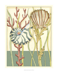 Shell Season III