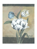 White Tulips I