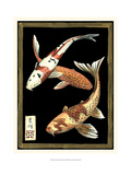 Koi Fish on Black I