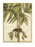 Graphic Palms II