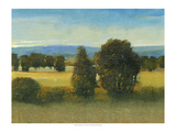 Verdant Meadow I