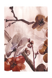 Blossom Poetry II