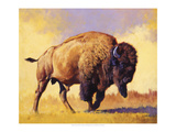 Tatanka