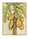 Graphic Palms I