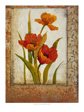 Tulip Inset II
