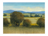 Verdant Meadow II