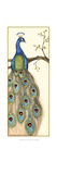 Rebecca's Peacock I