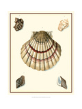 Studies in Symmetry III