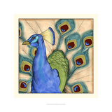 Eccentric Bird II
