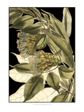 Tranquil Tropical Leaves VI