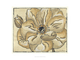 Tone on Tone Petals VI