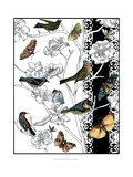 Aviary II
