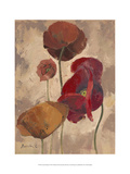Textured Poppies II
