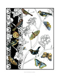 Aviary I