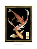 Koi Fish on Black II