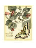Whimsical Butterflies I