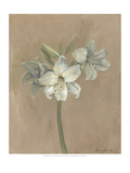 Blooms and Stems IV