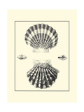 B&W Studies in Symmetry IV